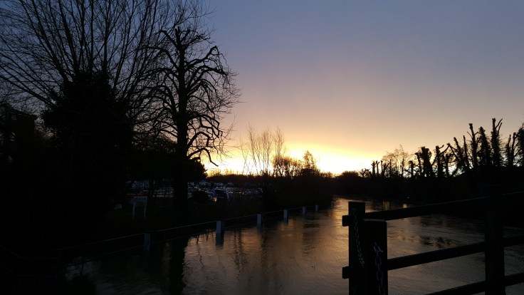 2016-01-14 08.18.58.jpg